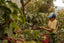 Our view on Coffee Seasons - how do we tackle this?