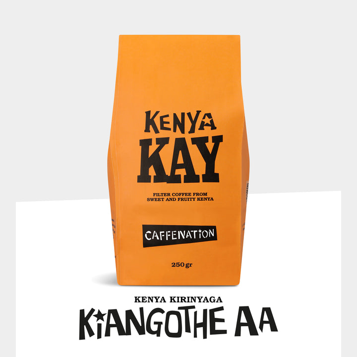 Pack shot of Kenya Kirinyaga Kiangothe AA filter coffee