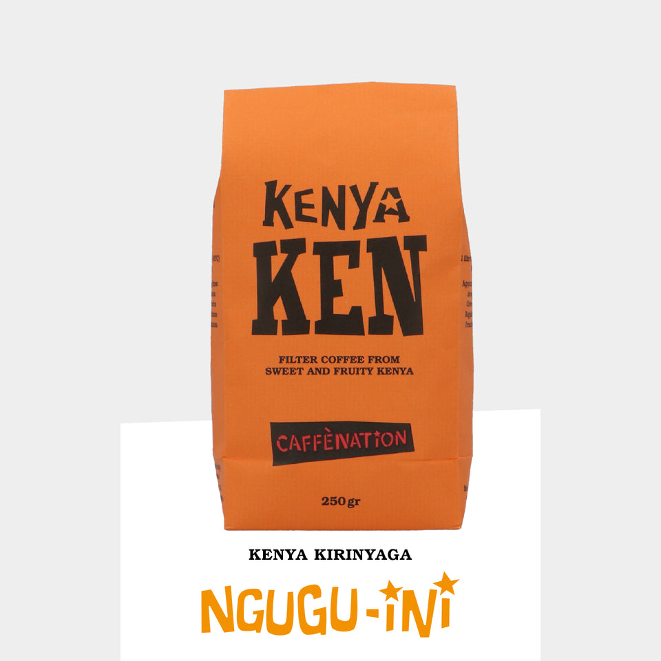 FILTER Kenya Kirinyaga NGUGU-INI PB